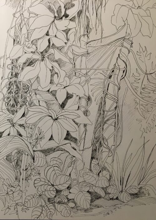 Botanischer Garten Skizze 6